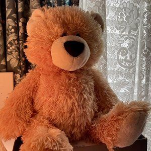Huggable Teddy Bear